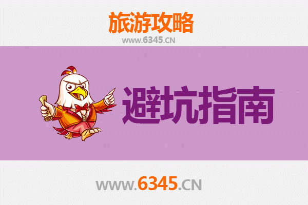 台南旅游全攻略：资深博主的不藏私忠告与须知